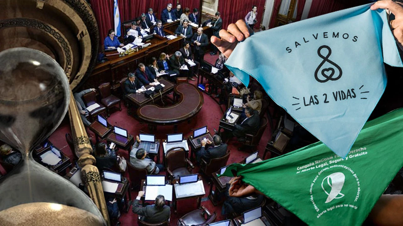 Aborto: con más de la mitad de los votos en contra, el sector "verde" negocia contra reloj en el Senado