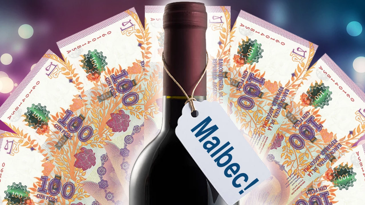 Los vinos imbatibles: 10 buenos Malbec por menos de $200 y que no fallan