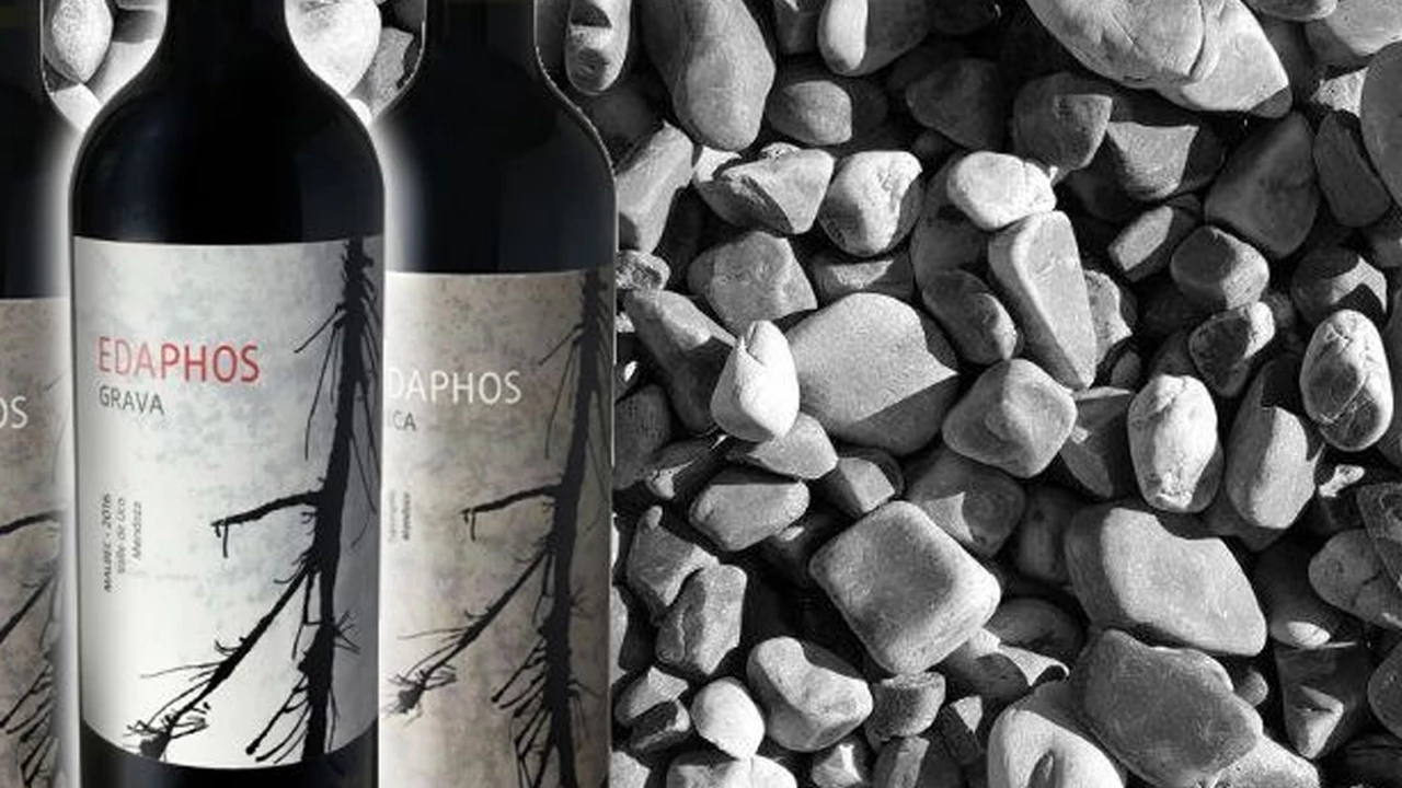 Por qué tenés que conocer Edaphos Wines, los nuevos vinos de autor con ADN del Valle de Uco