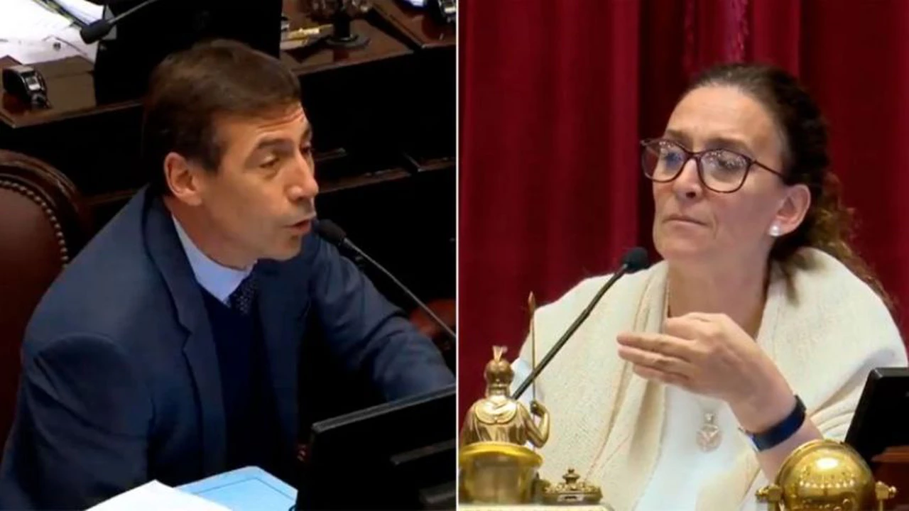 Video: "Sos un pelotudo, no rompas las pelotas", insultó Michetti al senador Naidenoff en pleno debate