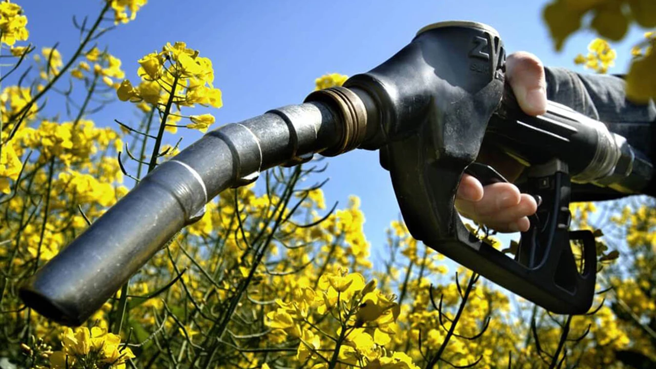 Reclaman "seguridad jurídica" para el sector de los biocombustibles
