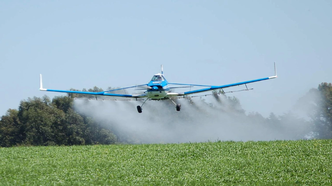 Por generar daño cerebral, Estados Unidos prohíbe al insecticida de Dow más usado en el agro argentino