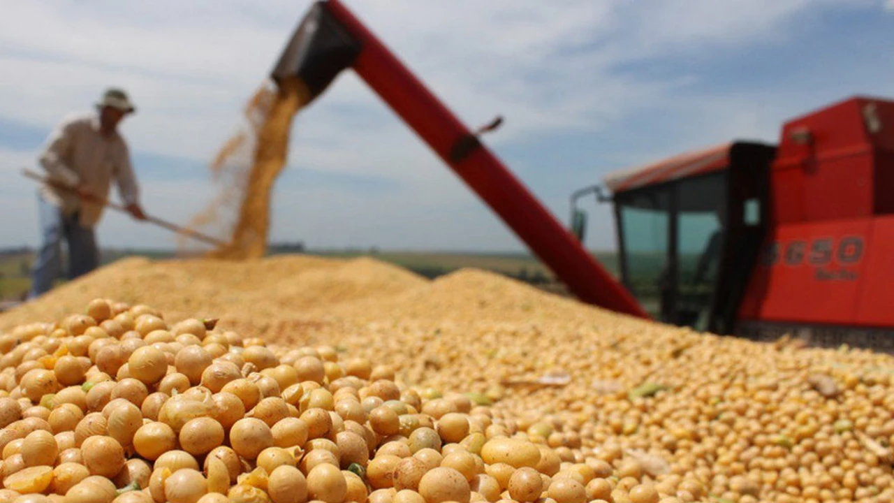 Golpe para la Argentina: la soja sufre un derrumbe en los precios internacionales