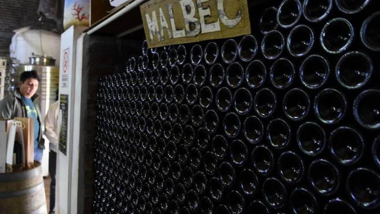 Río Negro dará nuevo subsidio a la industria del vino