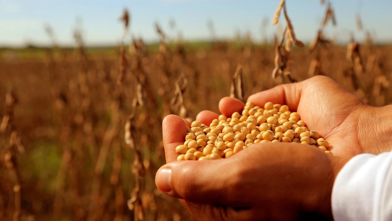 El Gobierno dispuso la suspensión transitoria de las exportaciones de soja y derivados