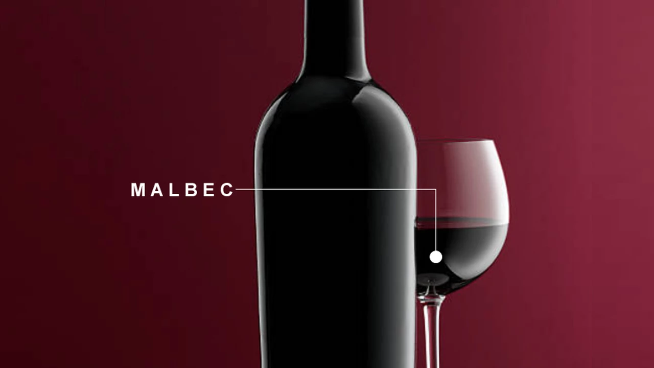 Malbec recomendados: cinco vinos para entender Valle de Uco