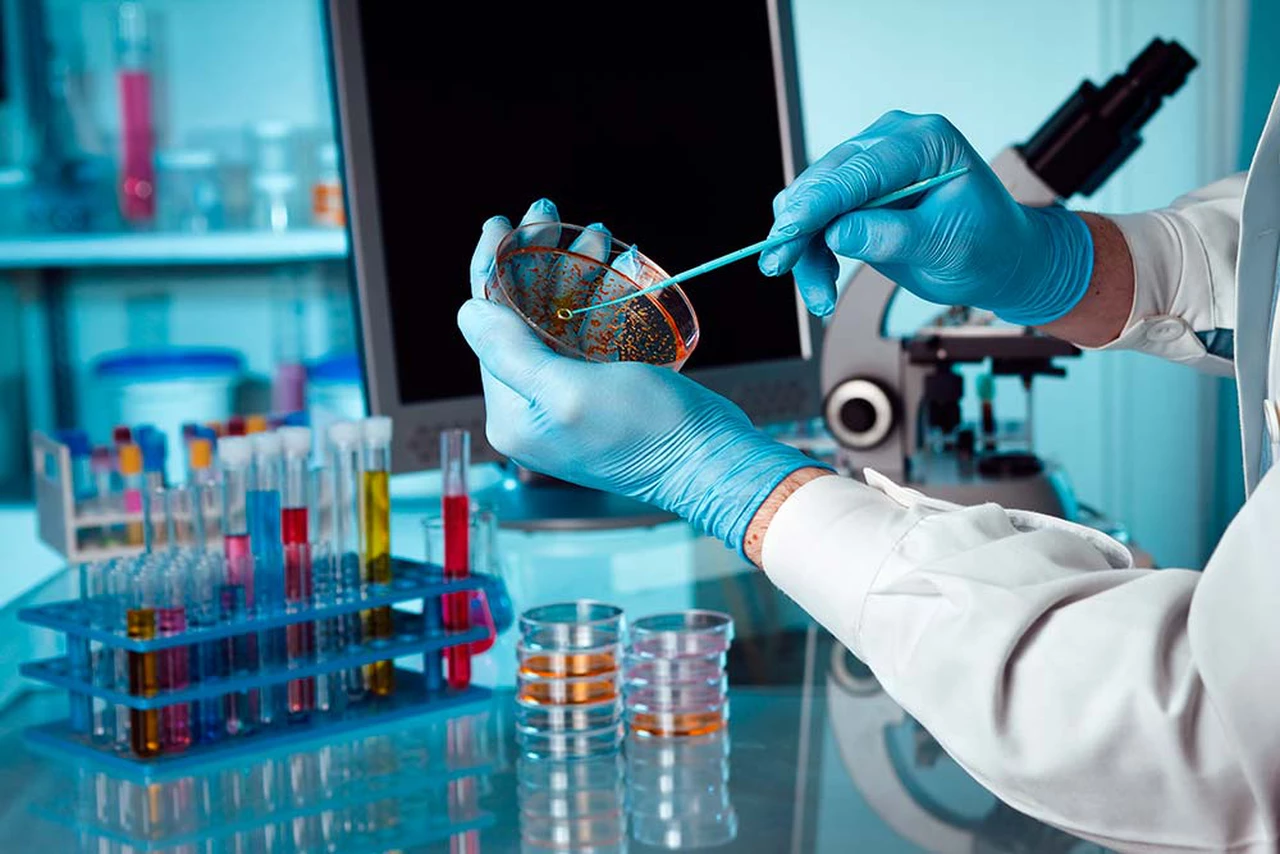 Claves para entender las innovaciones en cáncer a las que se les adjudicó el premio Nobel de medicina