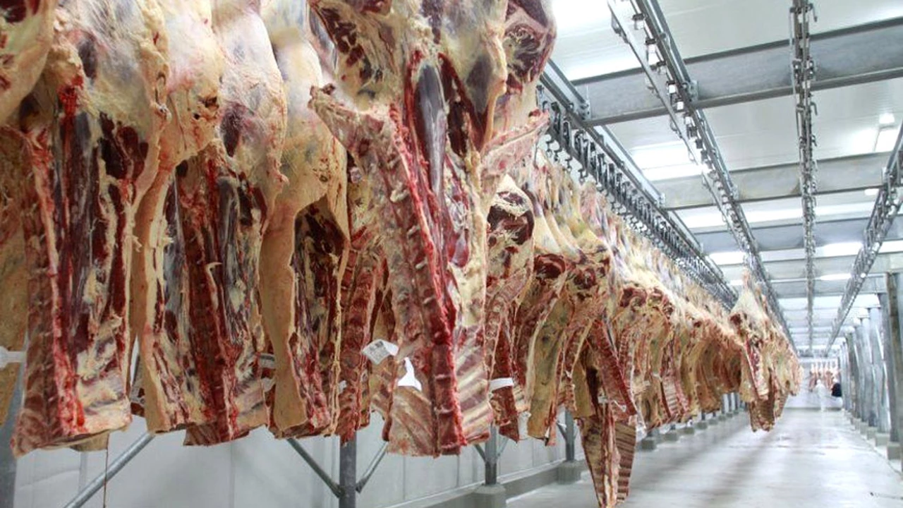 Argentina desbancó a Uruguay como segundo exportador regional de carne