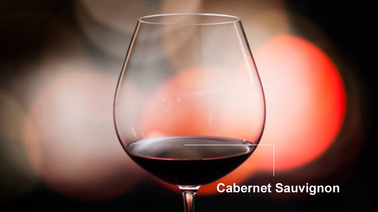 Cabernet Sauvignon: 10 vinos que no fallan para ir más allá del Malbec