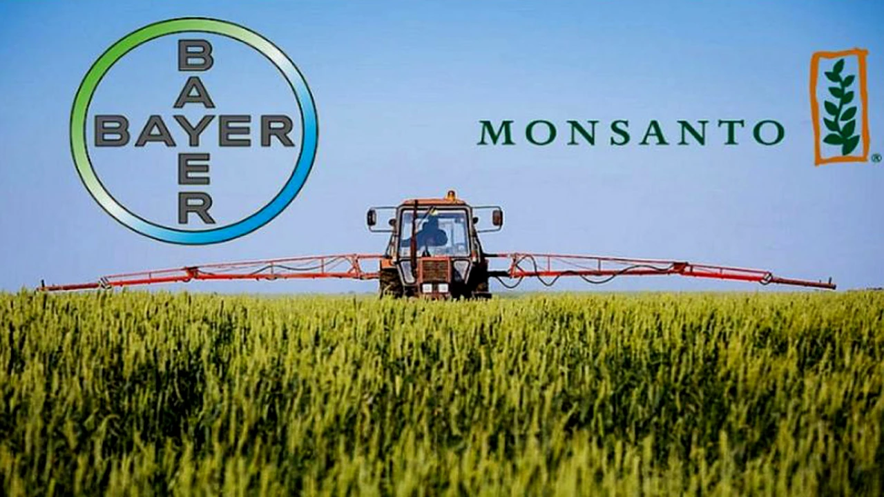 Escándalo por el fallo en EE.UU que acusa a Monsanto por el cáncer de una persona