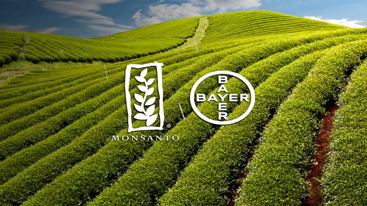 Bayer se desploma un 10% al perder un segundo juicio por el glifosfato