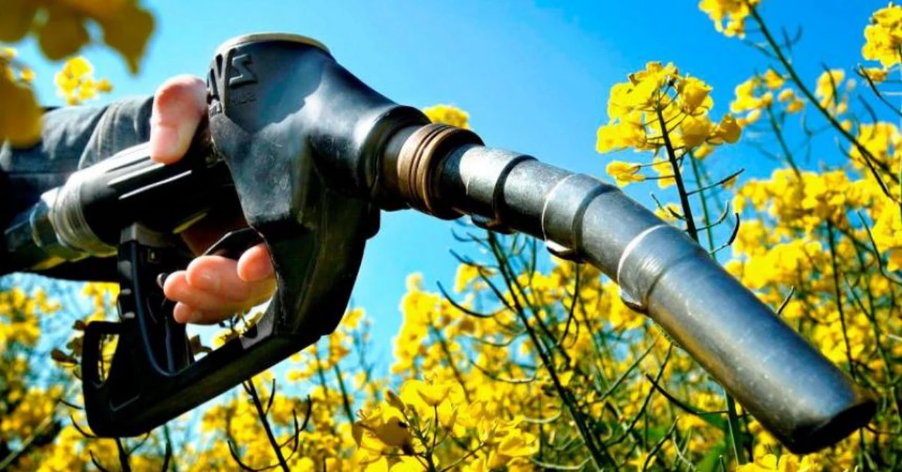 El Gobierno autorizó un aumento de casi el 5% en los precios de biocombustibles: a cuánto llega el litro