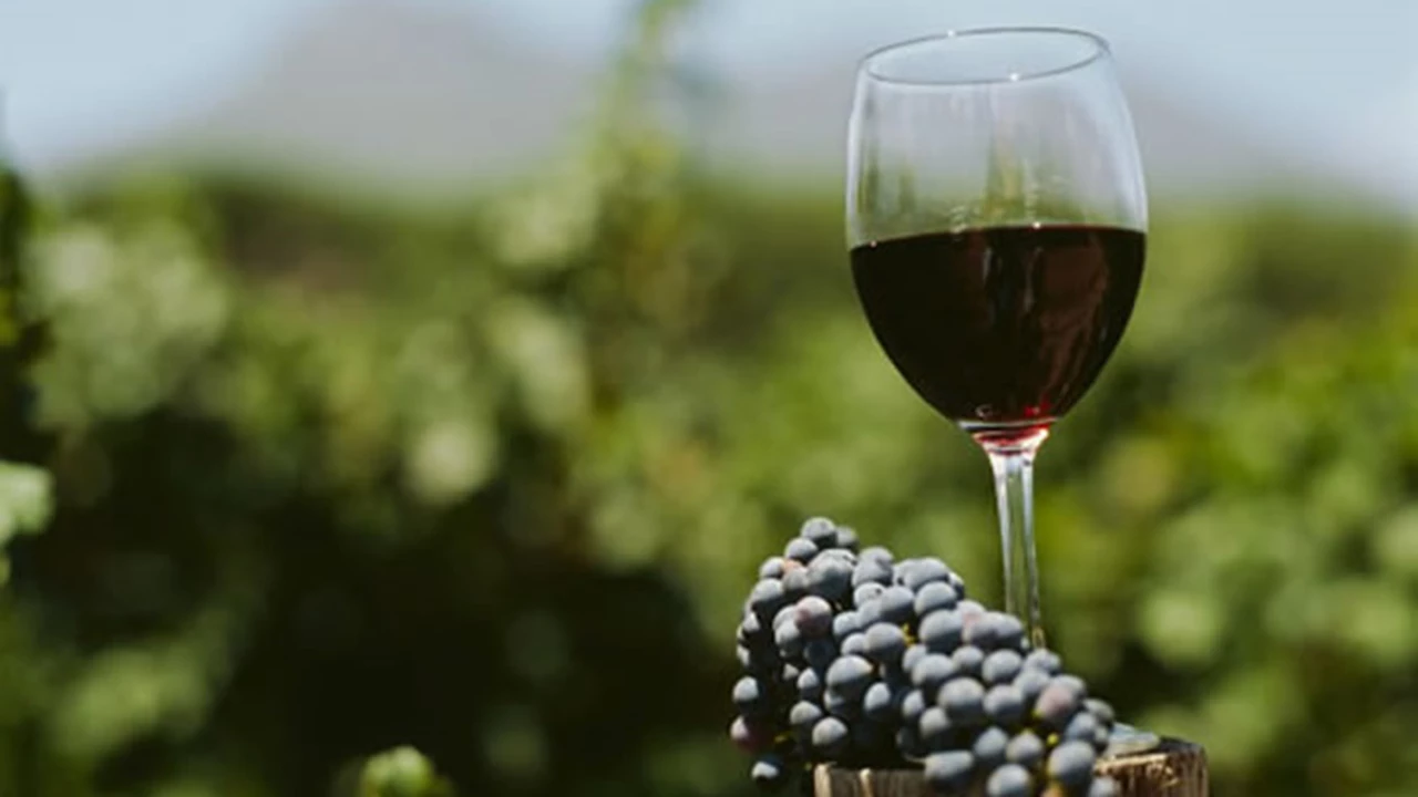 Argentina lleva sus vinos a China: tendrá su primer hub logístico en Shanghai