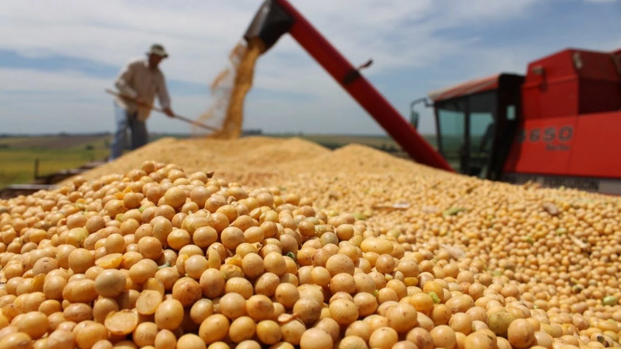 Argentina se convirtió en mayor comprador de soja estadounidense