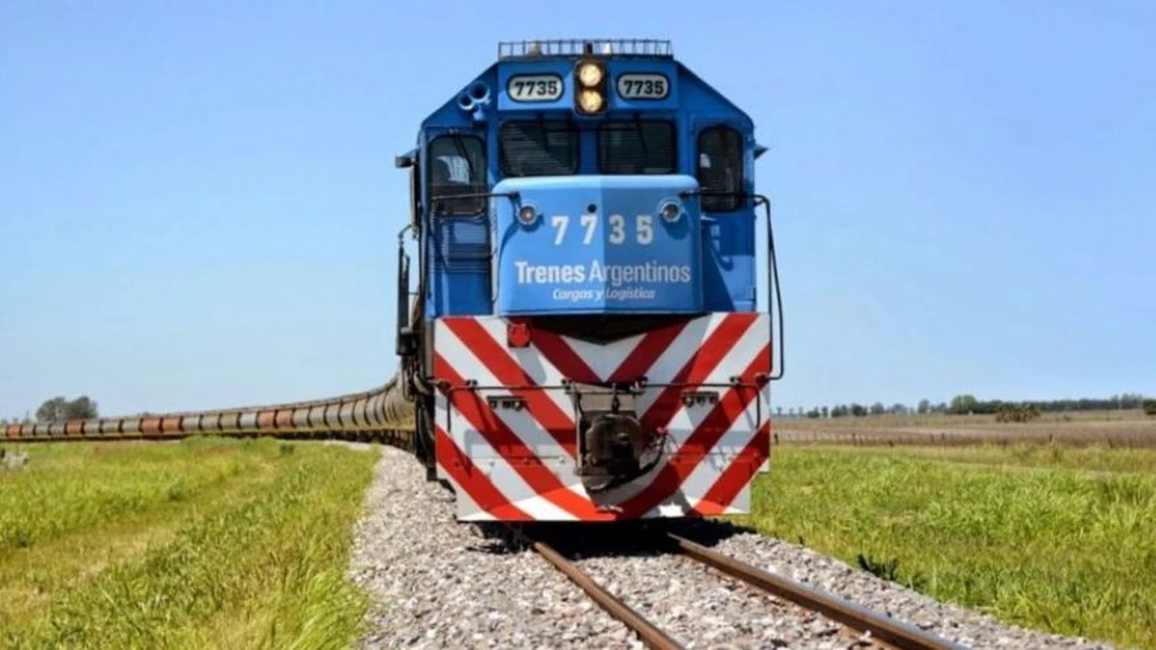 Trenes Argentinos transportó 15% más de carga en 2020: qué productos llevó