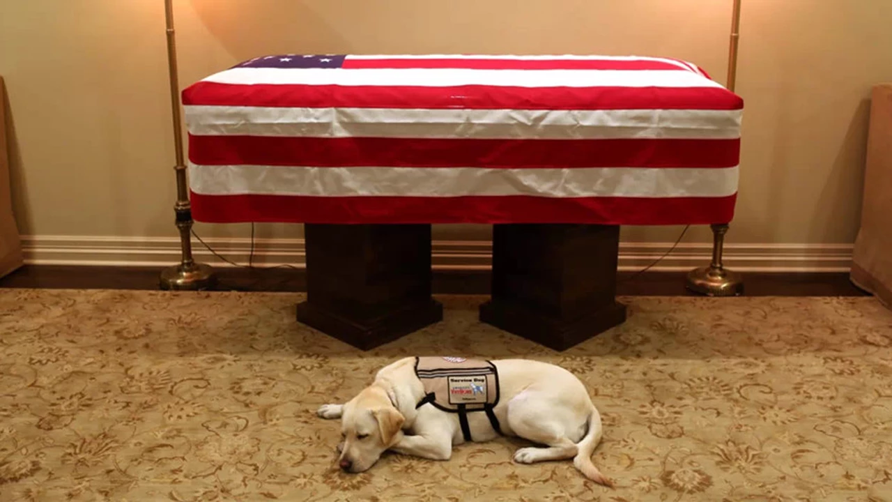 La foto del perro del ex presidente George H.W. Bush resguardando su ataúd que recorre el mundo