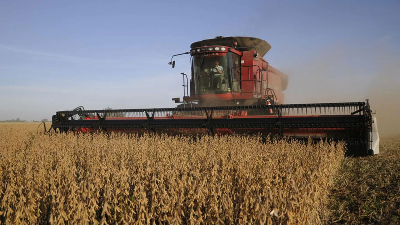 El consumo de fertilizantes creció por segundo año consecutivo