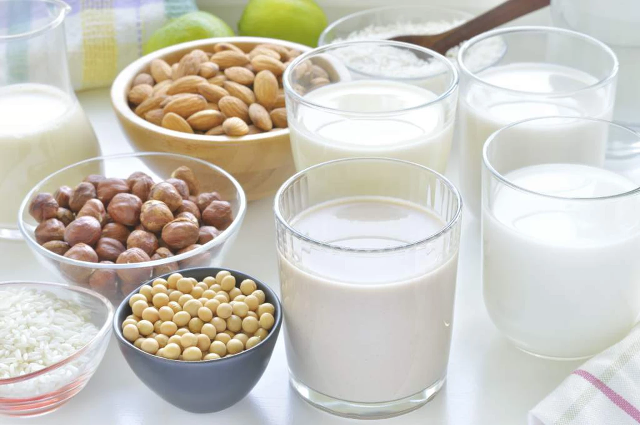 Leches vegetales vs leche animal, ¿qué las diferencia y por qué no deben llamarse igual?
