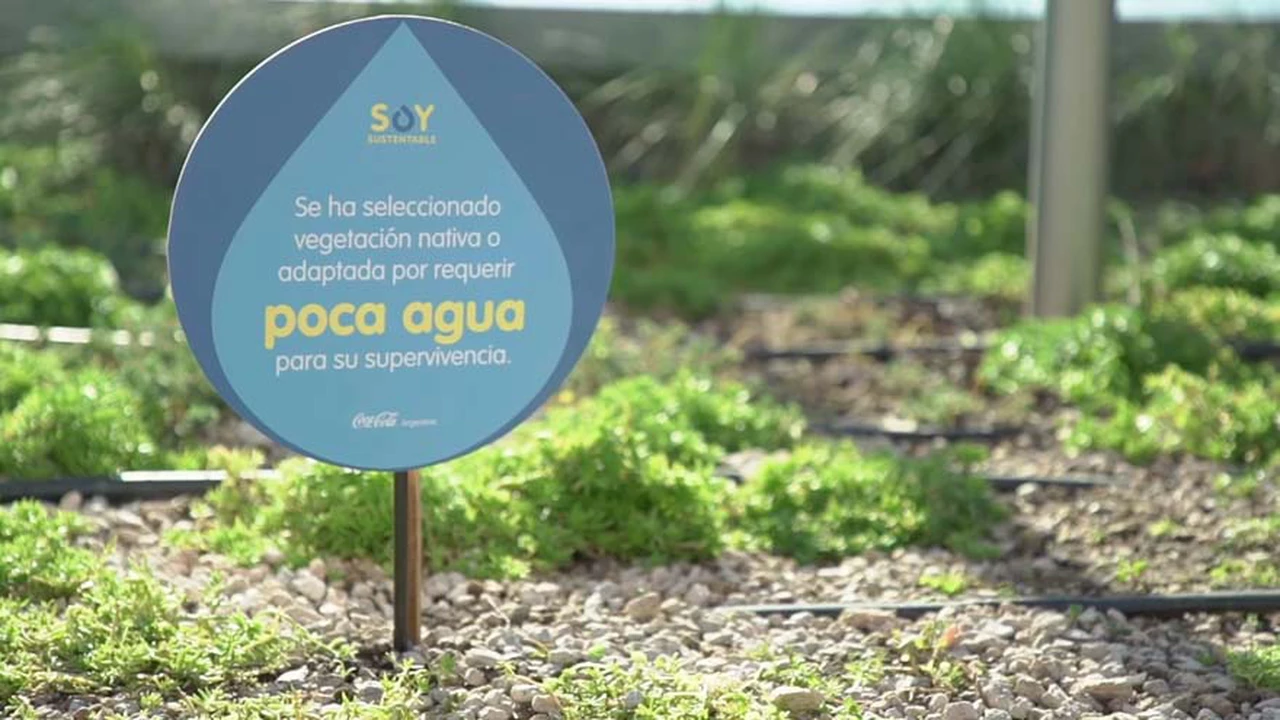 Nuevo edificio de Coca-Cola, certificado como el más sustentable de Argentina