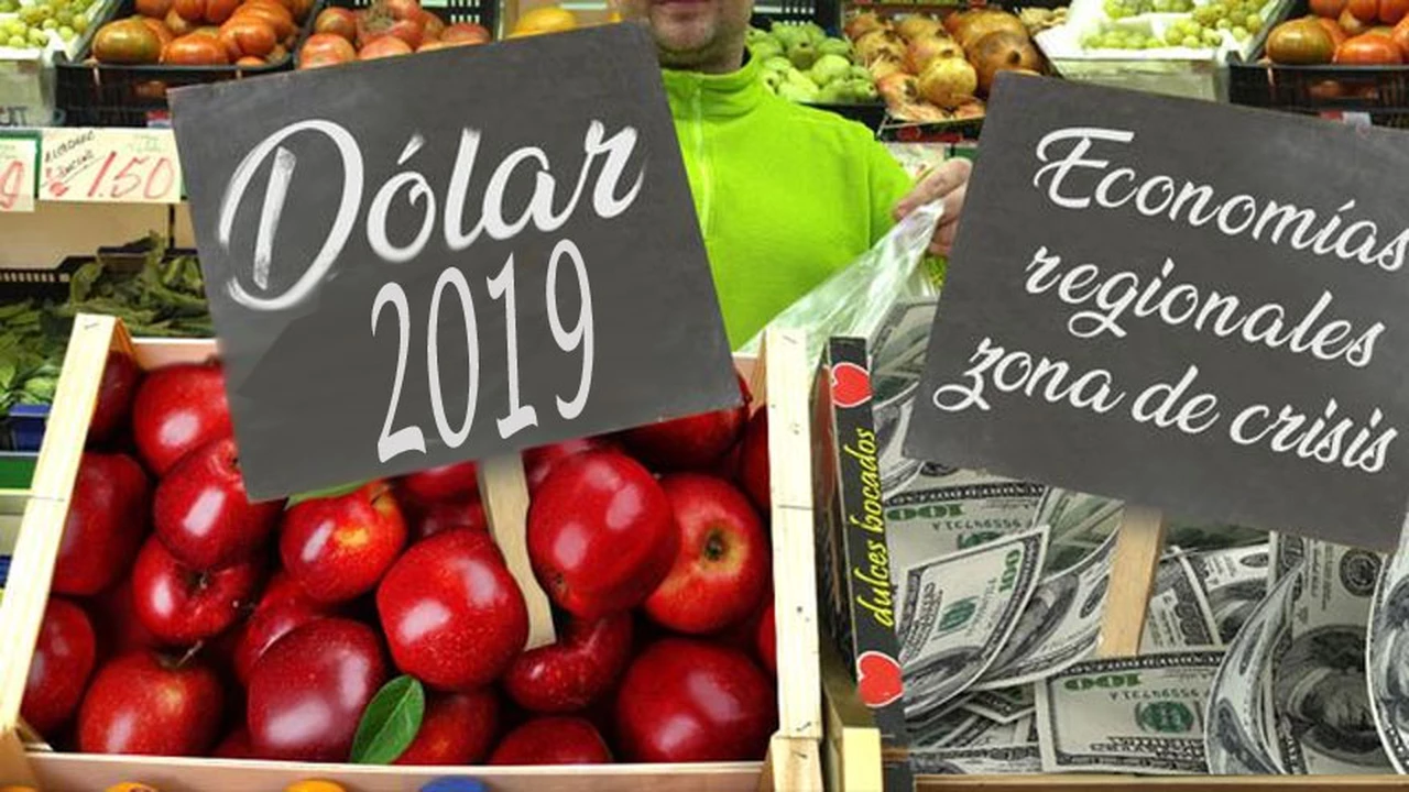 Dólar versión 2019: por qué no entusiasma a los industriales y complica a economías regionales