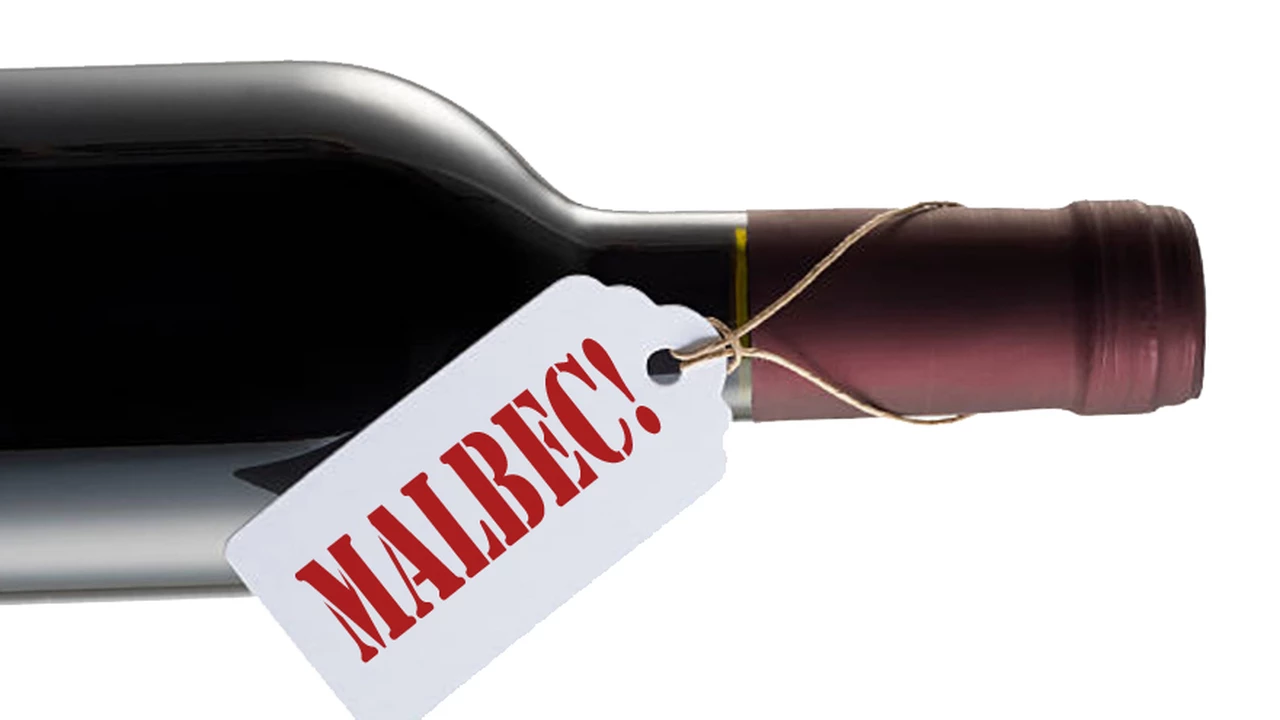 Cinco ricos vinos Malbec del Valle de Uco que son verdaderos best value