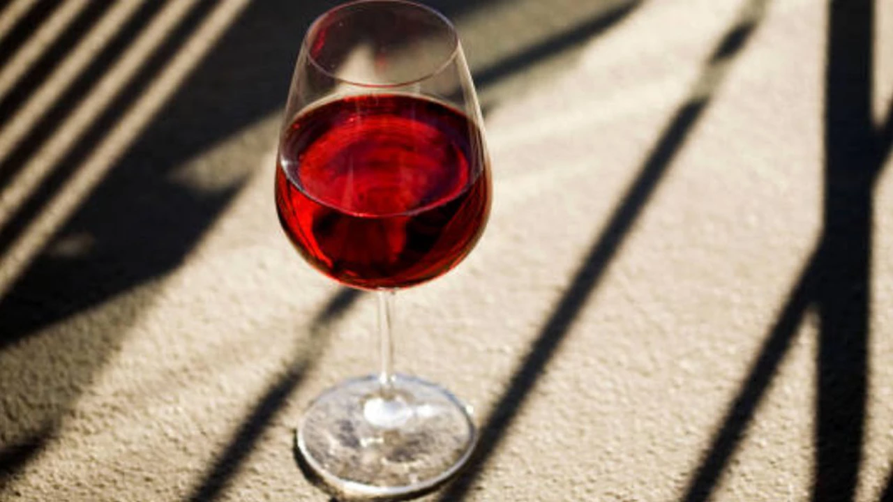 Vinos para el verano: 8 Pinot Noir desde $150 que no fallan