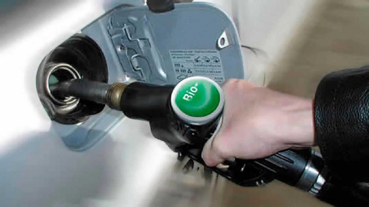 Empresas locales de biodiesel estiman exportar por u$s1.000 millones a Europa