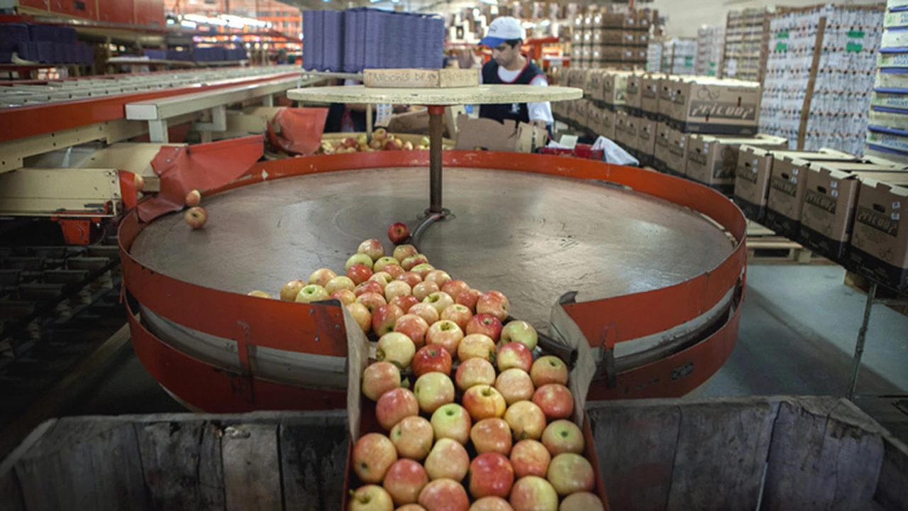 Senasa negocia con Brasil para retomar los envíos de peras y manzanas