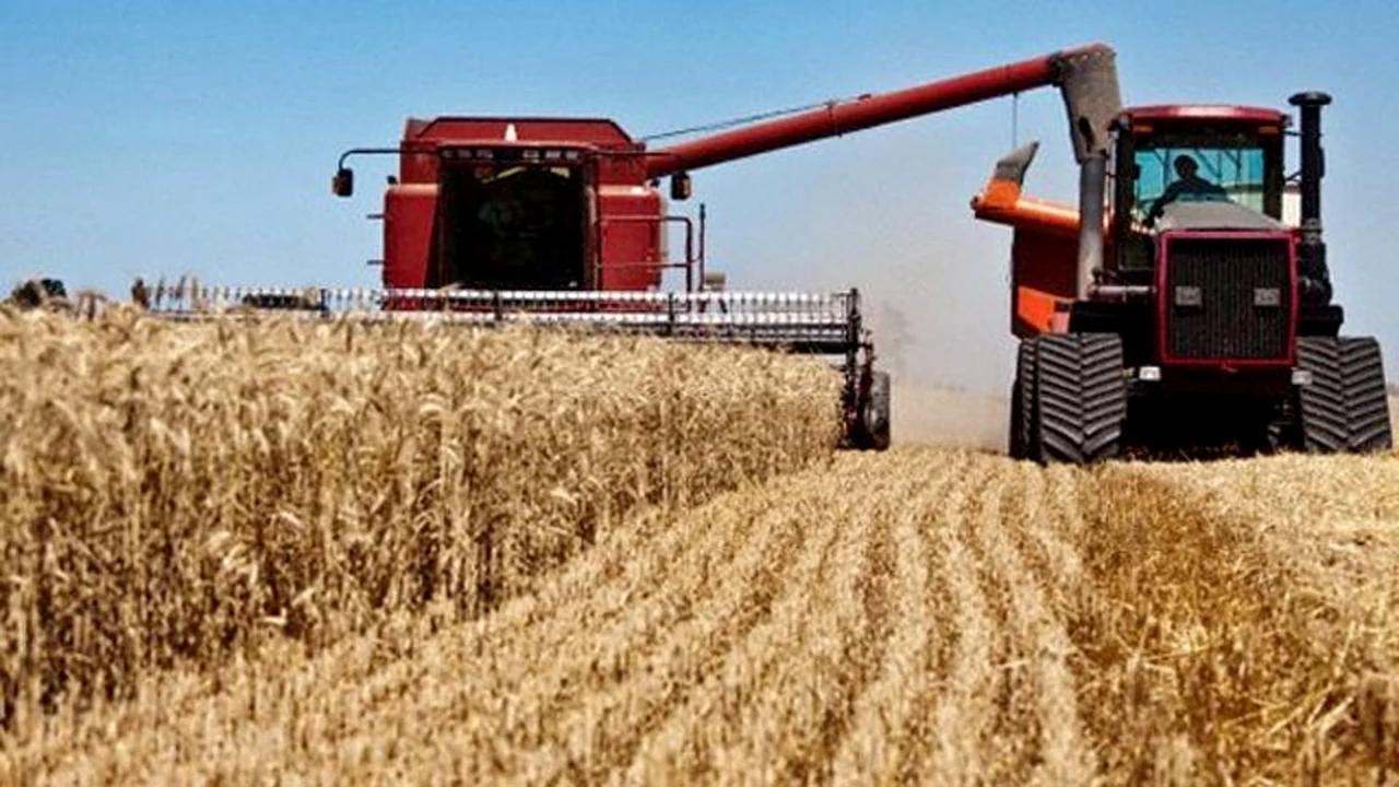 Más del 60% de la renta agrícola queda en manos del Estado, según informe privado