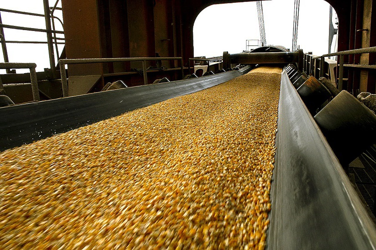 Los productores no podrán facturar sus granos en dólares