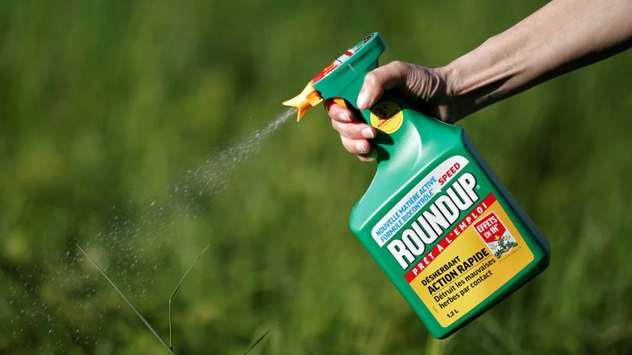 Condenan a Bayer a indemnizar con u$s81 millones a un hombre que tiene cáncer por usar herbicida de Monsanto