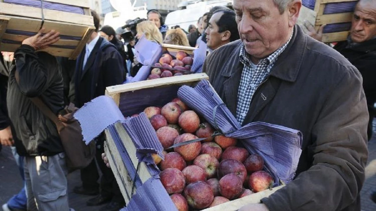 "Alimentazo" en Plaza de Mayo: productores venden comida al costo