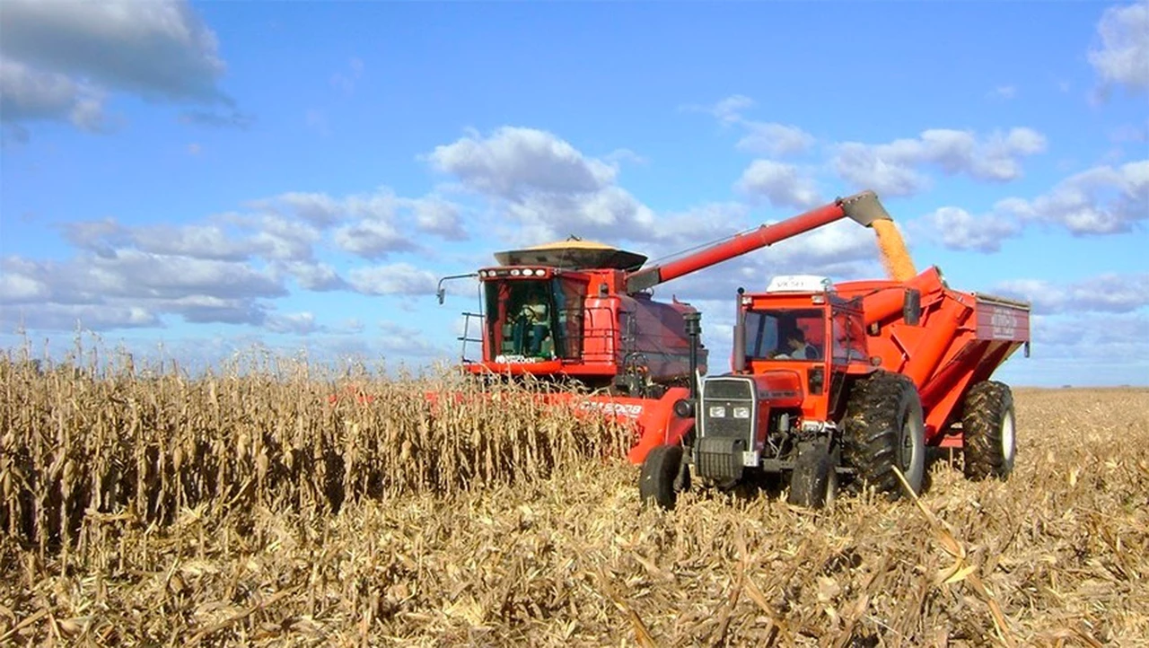 Por retenciones, el campo y la agroindustria aportarán al Estado $230.000 millones en 2019