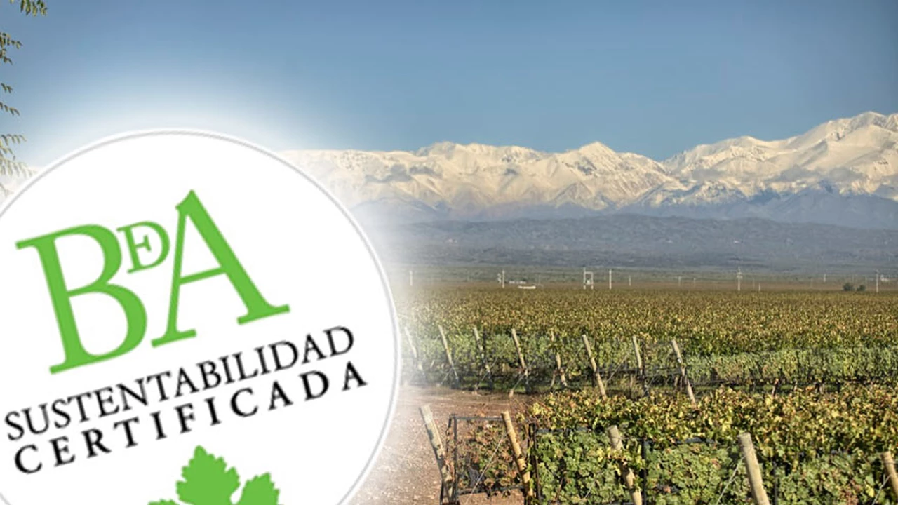 Vinos sustentables: Doña Paula certificó sus viñedos