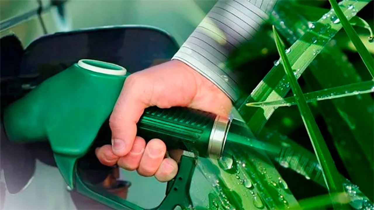 Preparan nueva Ley de Biocombustibles: qué cambios proponen