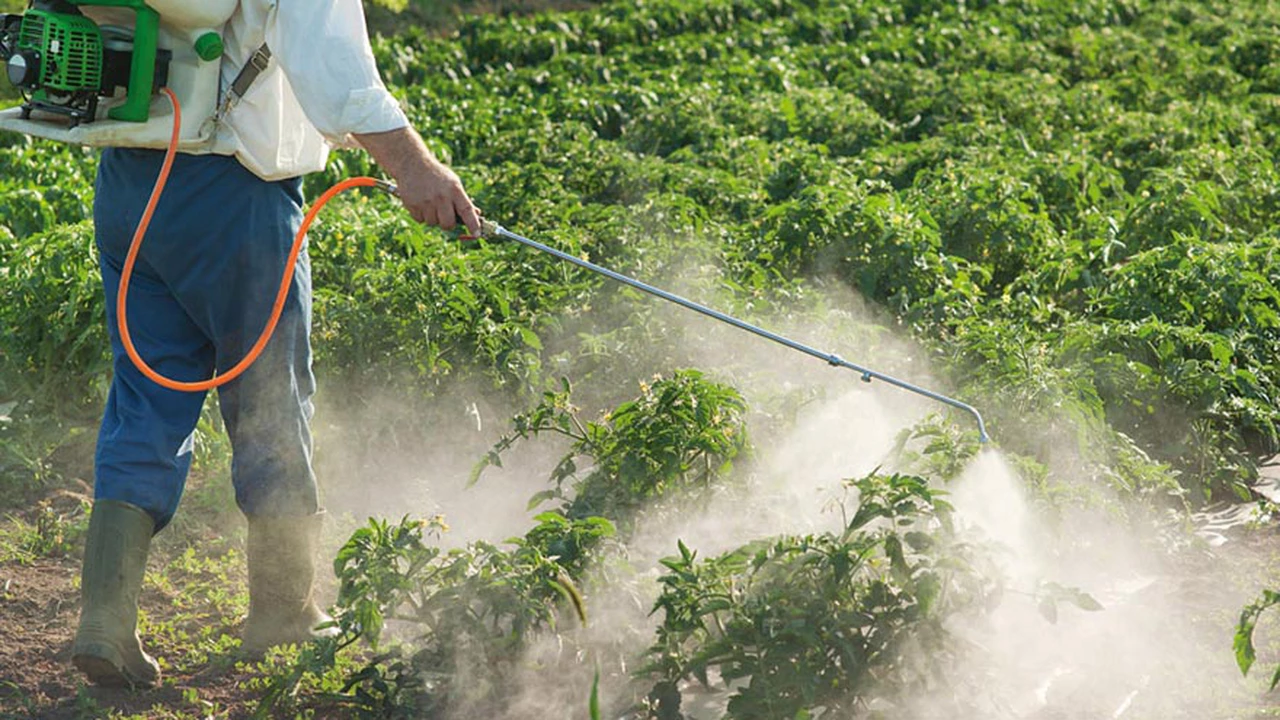 Nueva derrota de Monsanto: deberá pagar u$s2.000 millones por el glifosato y quedan 13.000 demandas más
