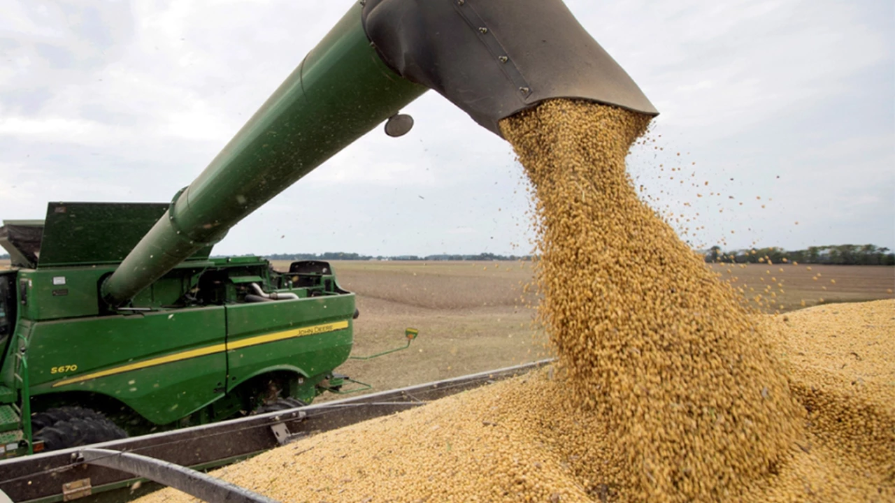 Las exportaciones de soja crecieron 45% entre marzo y abril