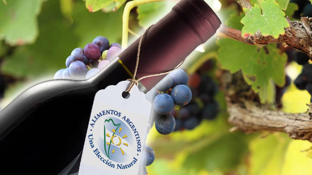 Exportaciones: vinos con sello "Alimento Argentino" tendrán más reintegros