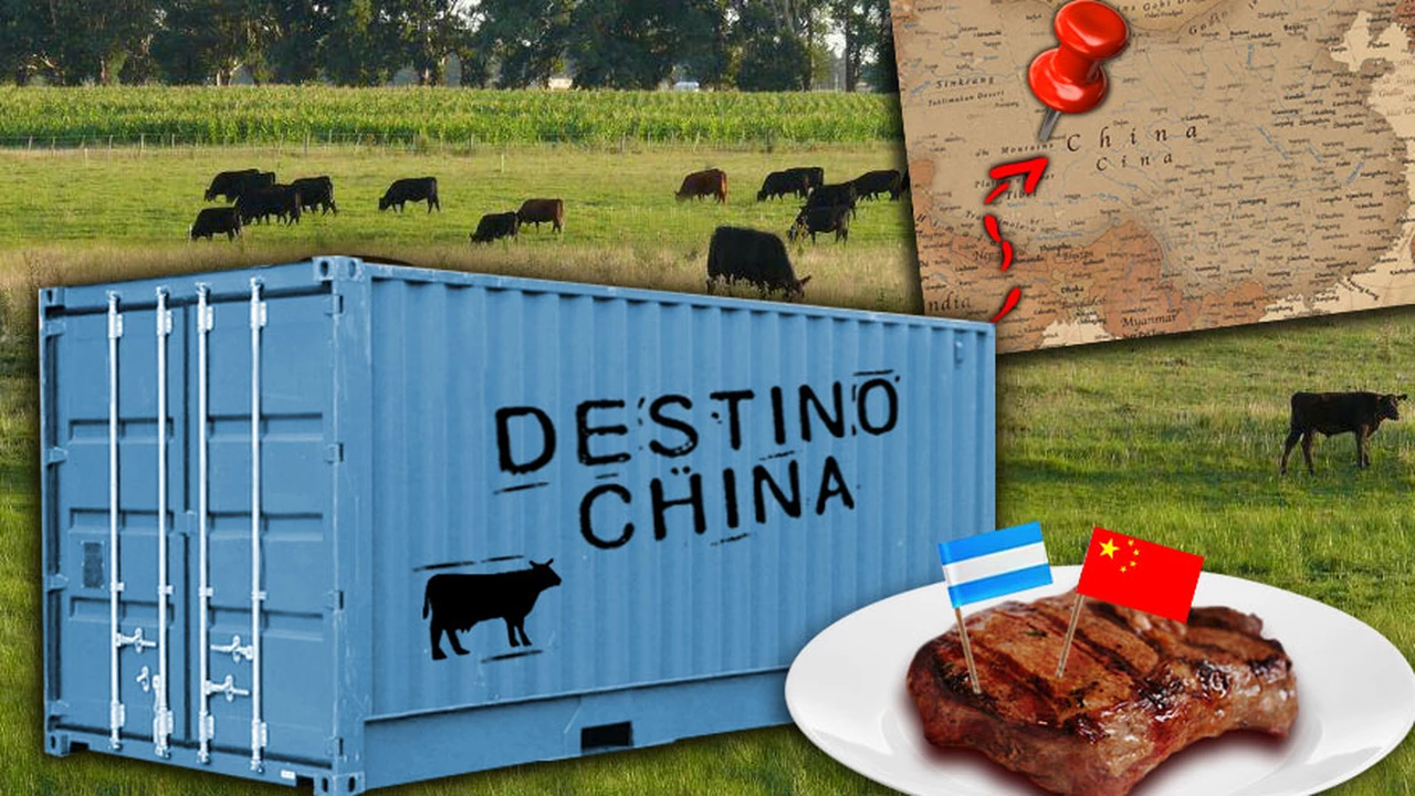 La Argentina será el principal proveedor de carne a China, que habilitó exportaciones a más frigoríficos