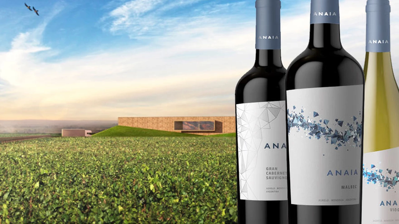 Vinos frescos, también en Agrelo: lanzan el proyecto Anaia Wines