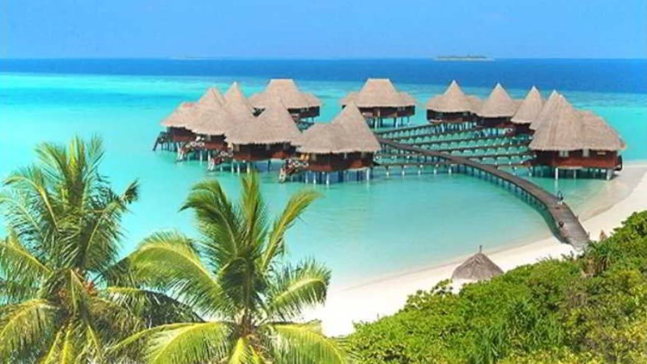 Un completo de las islas Maldivas ofrece una estadía "all inclusive" a cambio de cuidar tortugas