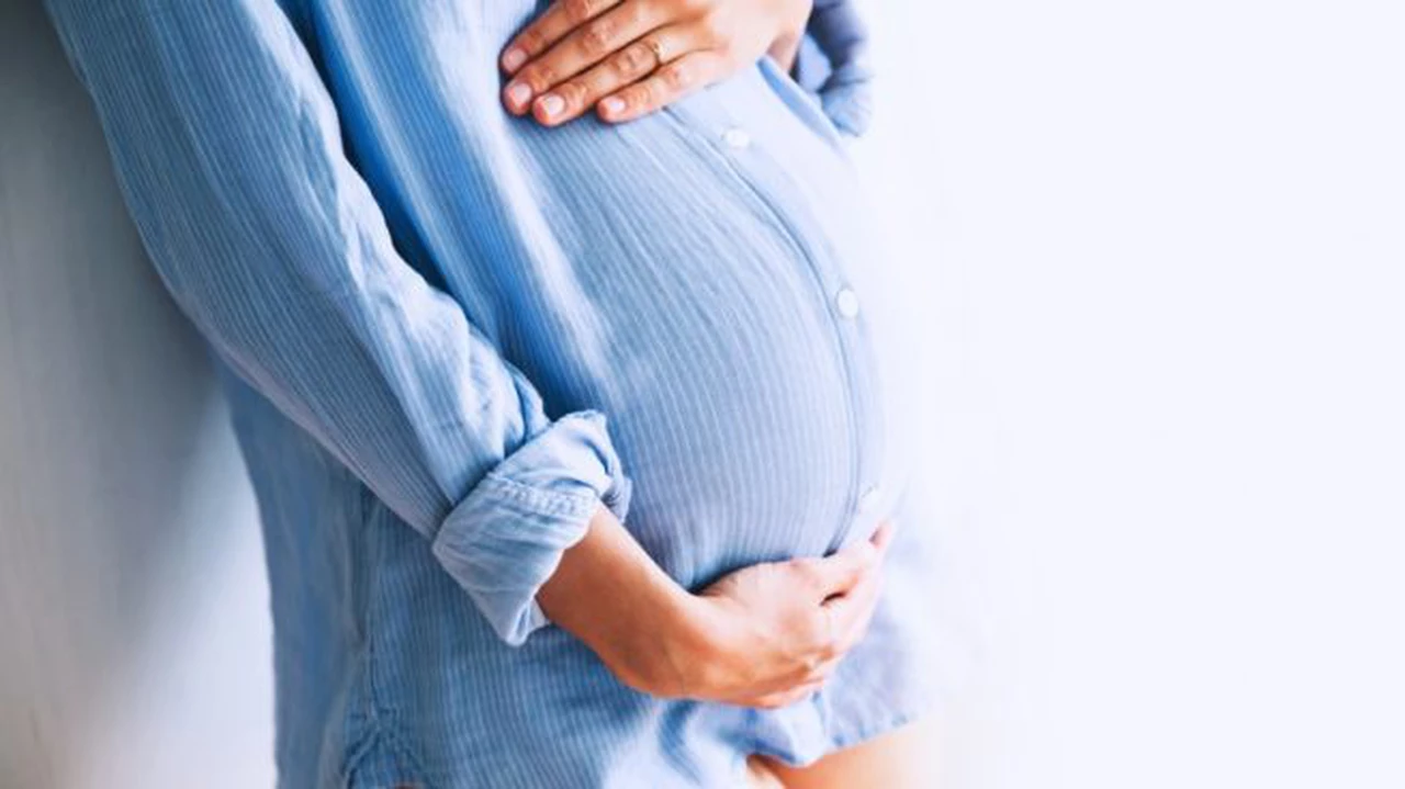 Estas son las asignaciones que ANSES otorga a las mujeres embarazadas