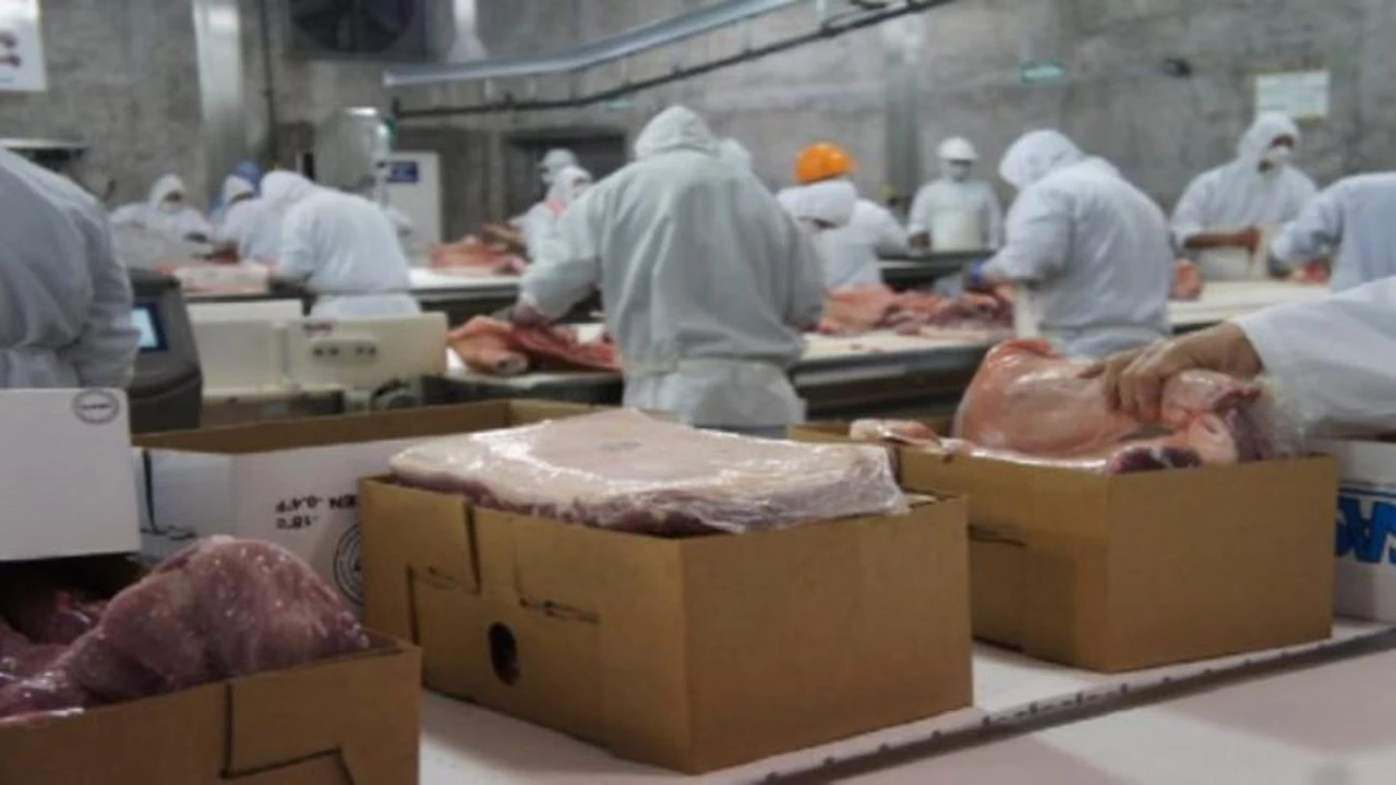 Promueven nuevos negocios de exportación de carne de cerdo argentina a China