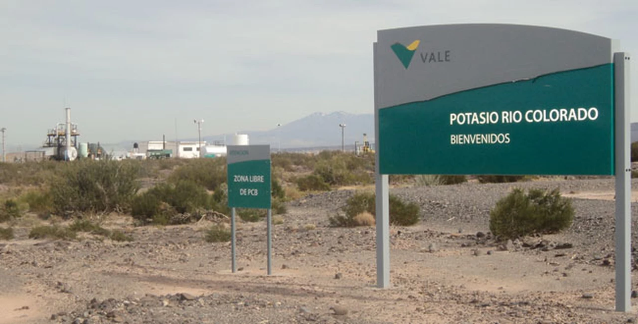 Potasio Río Colorado: Cornejo analiza quitarle la concesión a Vale para reactivarlo