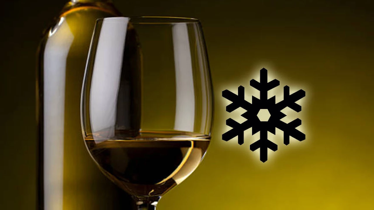 Llegó el invierno: 10 vinos blancos perfectos para el frío