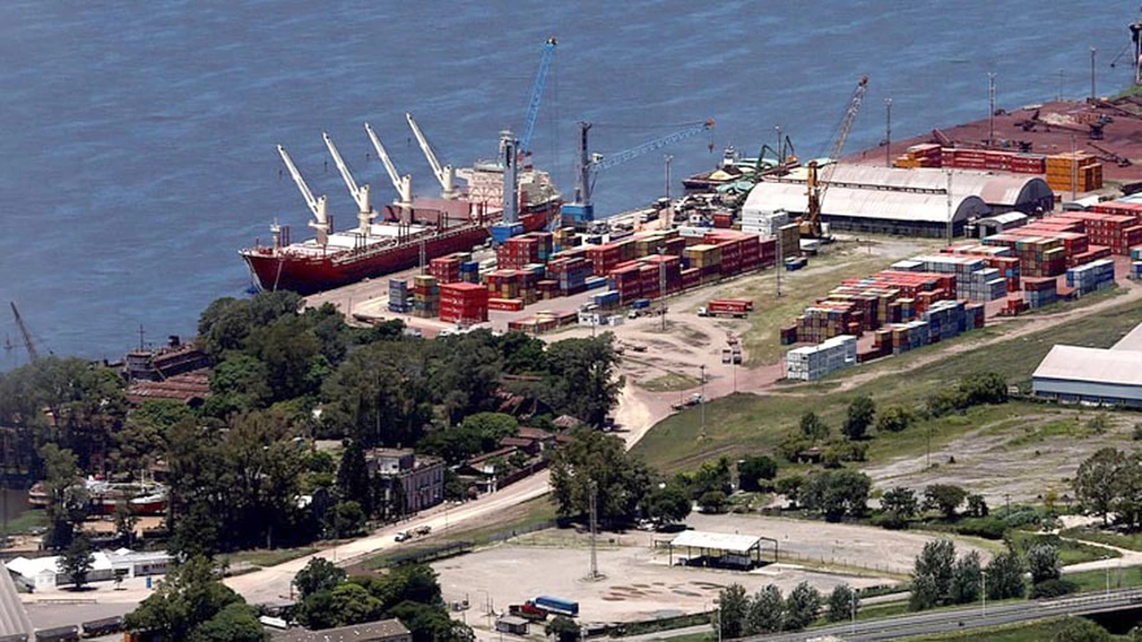 Puerto de Timbúes: quién es el polémico operador de terminales que pretende el negocio