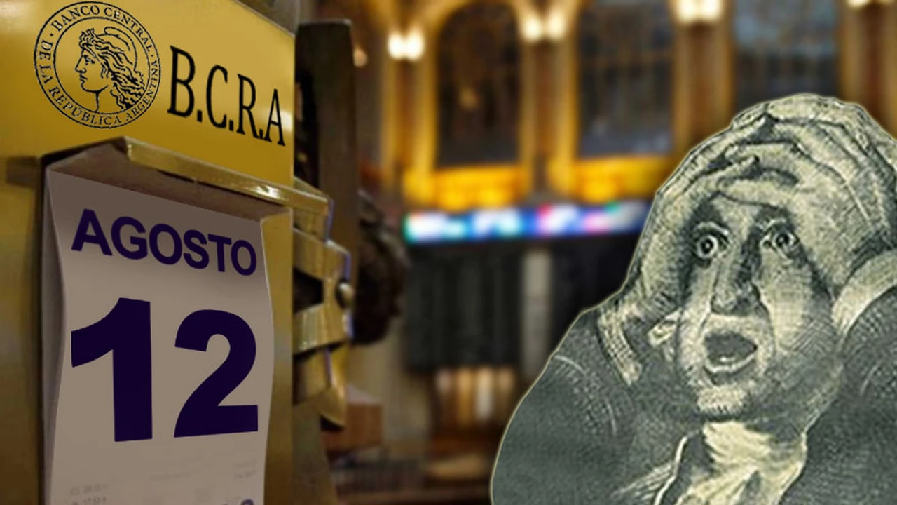 El precio del dólar según gane Macri o Alberto Fernández: tras las PASO, se abre una caja de Pandora para el Banco Central