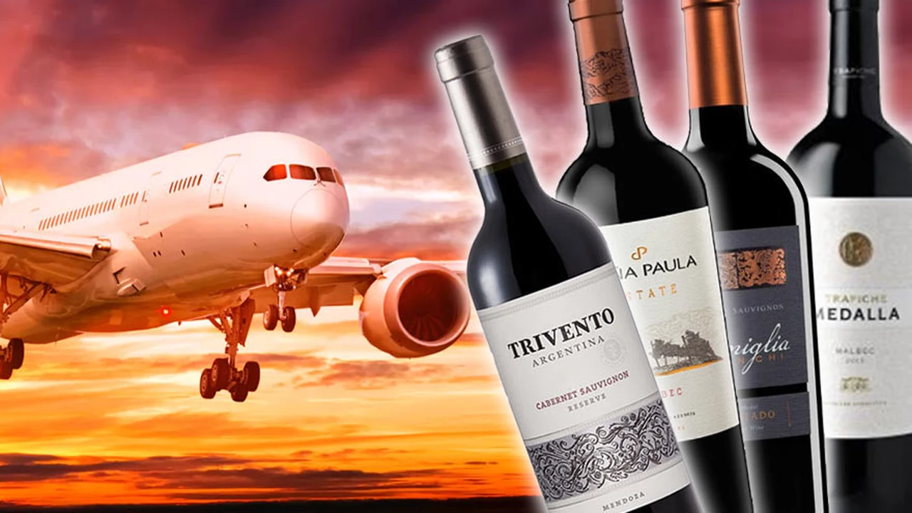 Así es el particular negocio de vender vinos argentinos a más de 10.000 metros de altura