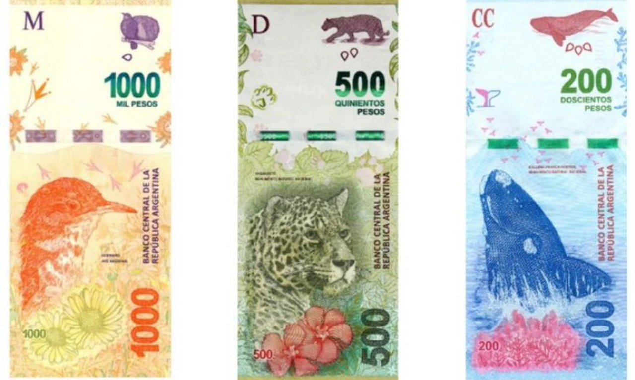No se deje engañar: así puede detectar billetes de $ 200, $ 500 y $ 1.000 falsos