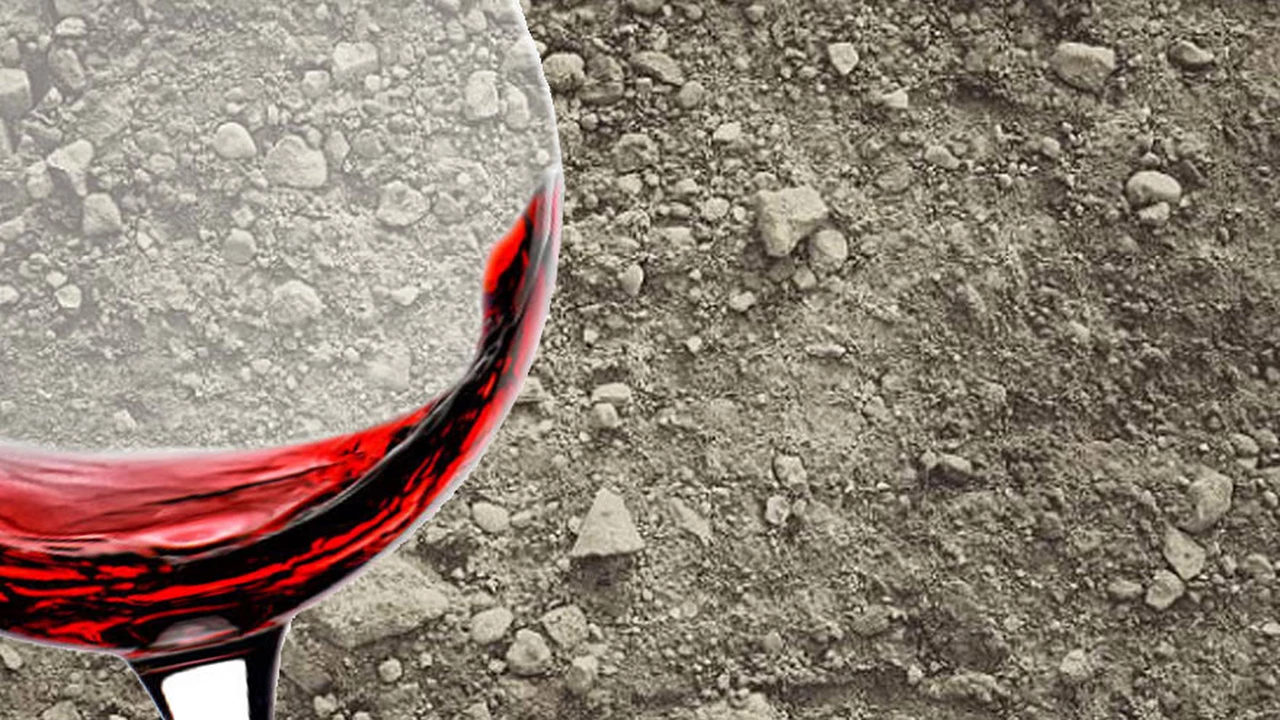 Boom de vinos de terruño: bodegas hablan más de regiones y menos de cepas